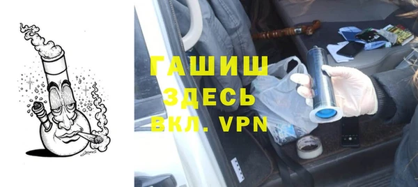 прущие грибы Новодвинск