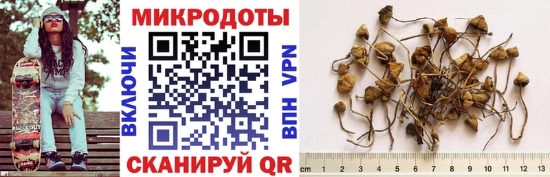 Купить закладки  Ноябрьск  Галлюциногенные грибы Psilocybine cubensis 